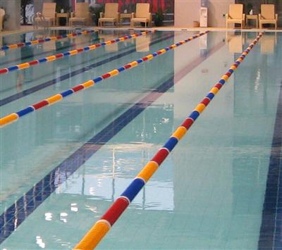 泳道線產品 泳道線產品